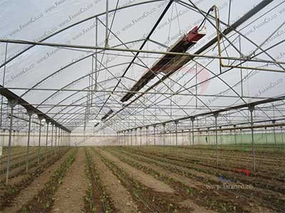 گرمایش تابشی در گلخانه service-60961.jpg